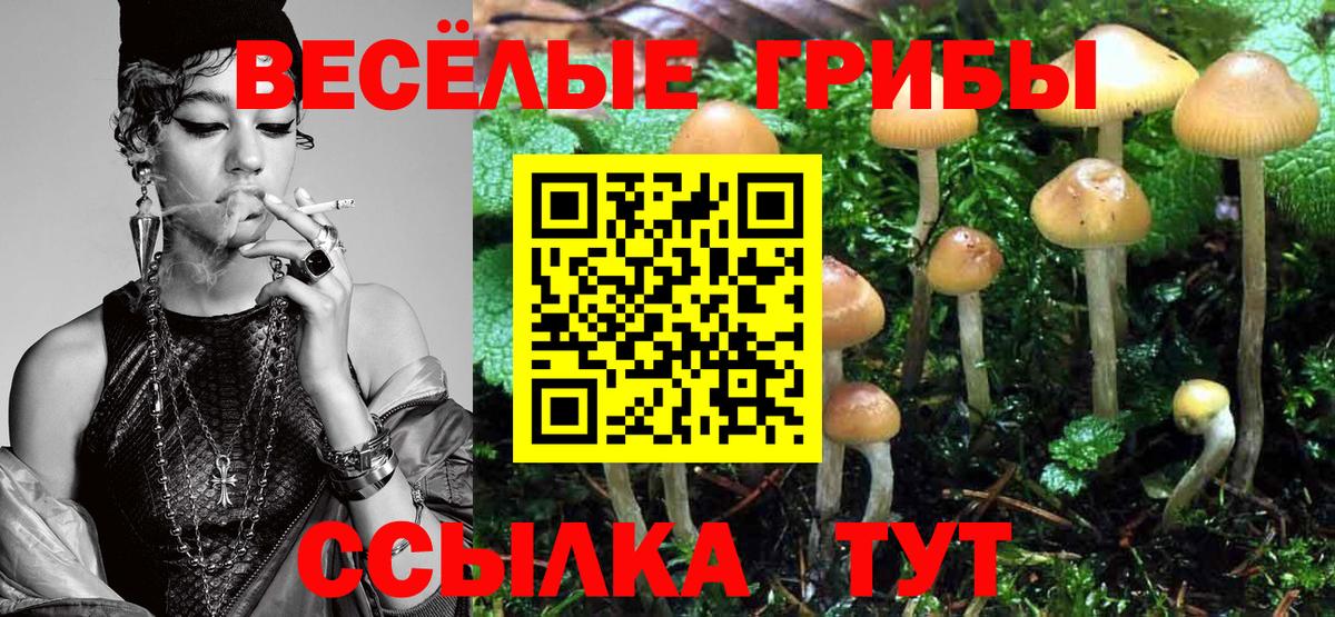 продажа наркотиков  Вход с VPN  Ступино  Галлюциногенные грибы GOLDEN TEACHER 