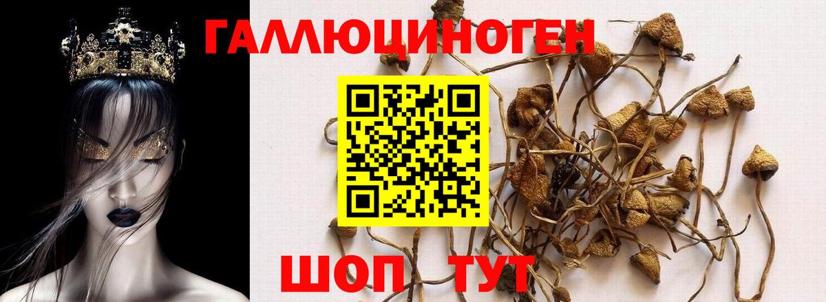 Галлюциногенные грибы мицелий Ступино